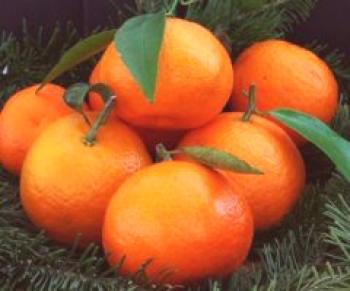 Jak skladovat mandarinky v bytě před novým rokem