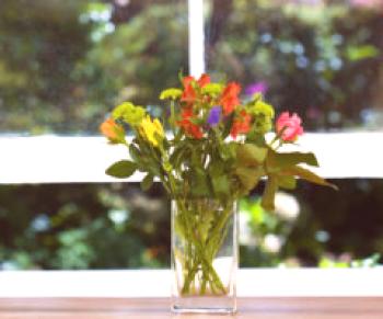 9 tipů, aby květiny ve váze delší