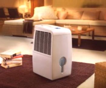 Který zvlhčovač vzduchu je lepší koupit v bytě nebo domě: jak si vybrat