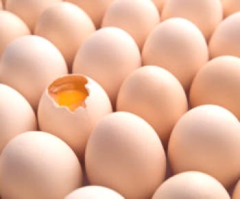 Jak zjistit čerstvé vejce nebo nepoužívat vodu