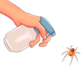 Jednou provždy se zbavíme pavouků doma jednoduchými prostředky