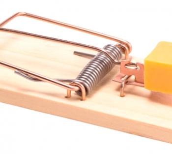 Jak udělat past na myši s vlastními rukama: pořadí nejlepších účinných mousetraps
