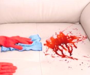 Jak a co přinést čerstvé a sušené krve z gauče doma
